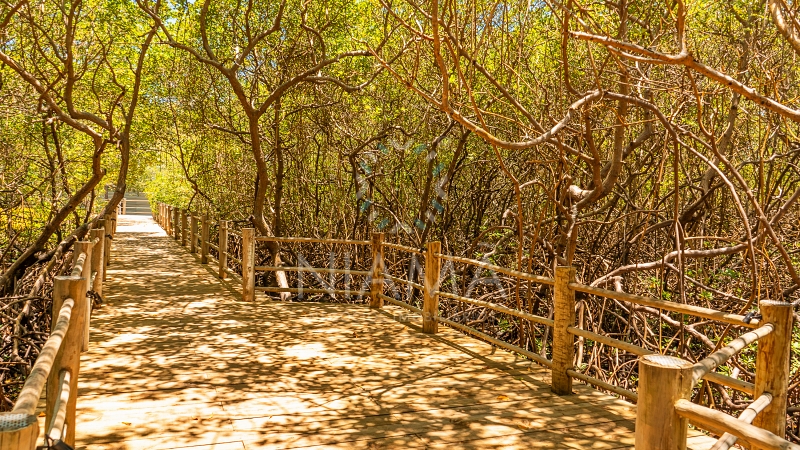 casa 13 de praia condominio vilas altos trancoso
