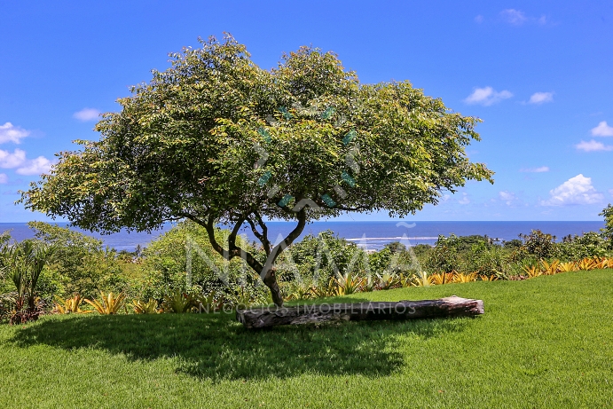 casa de luxo na praia em trancoso